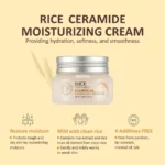 The-Face-Shop-Rice-Ceramide-Moisturizing-Cream-with-Rice-Extracts-for-brightening-and-Moisturizing-Korea-2.webp